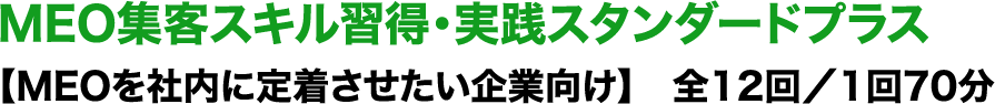 MEO集客スキル習得・実践スタンダードプラス【MEOを社内に定着させたい企業向け】　全12回／1回70分