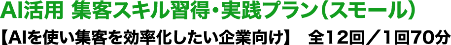 AI活用 集客スキル習得・実践プラン（スモール）【AIを使い集客を効率化したい企業向け】　全12回／1回70分